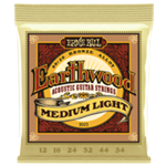 Ernie Ball Earthwood 80/20 Medium Light Bronze Acoustic Guitar Strings