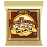 Ernie Ball Earthwood 80/20 Medium Bronze Acoustic Guitar Strings