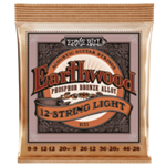 Ernie Ball Earthwood 12 String Light