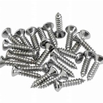 Ernie Ball Pick Guard Screws