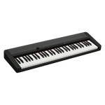 Casio CT-S1BK Elect Keyboard + Adaptor