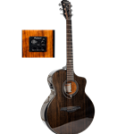 Palmer PF32CEQMHVP Acoustic Electric Guitar w/bag