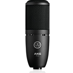 AKG P120 Recording Condenser Microphone