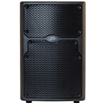 Peavey PVXP10 Powered Speaker Enclosure