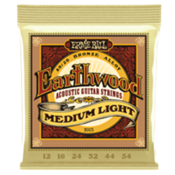 Ernie Ball Earthwood 80/20 Medium Light Bronze Acoustic Guitar Strings