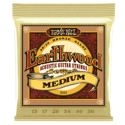 Ernie Ball Earthwood 80/20 Medium Bronze Acoustic Guitar Strings