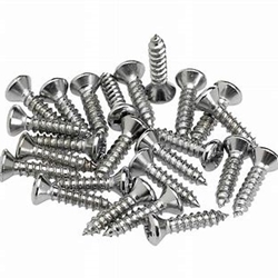 Ernie Ball Pick Guard Screws