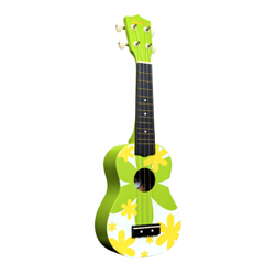 Amahi DDUK6 Green Flower Ukulele w/bag