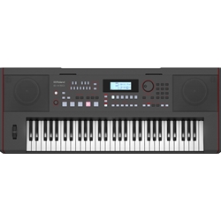 Roland E-X50 Arranger Keyboard