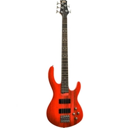 Palmer 5 string Bass Guitar w/bag
